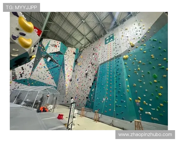 上海攀岩队协作表现分析及其对比赛成绩的影响研究