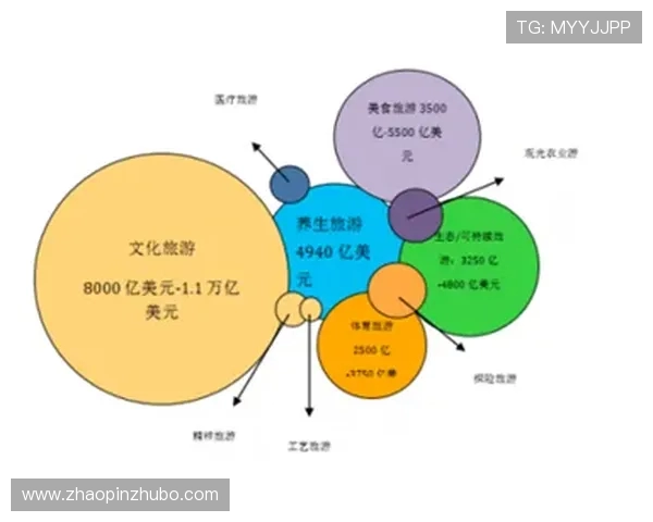 北京排球队实力分析与未来发展趋势的深度探讨
