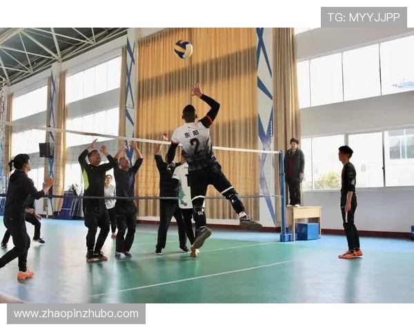 刘娜独家分享排球心得与技巧助你提升球技的全方位指南