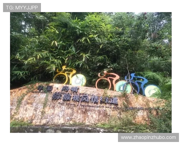 成都乒乓球队中路突破革新引领新风潮助力竞技水平提升