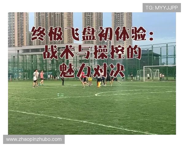 飞盘专题深度解析武汉飞盘队的技术特点与战术运用