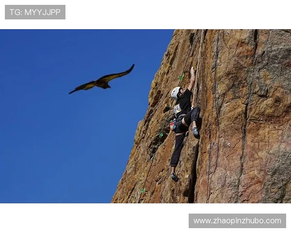 攀岩战术解析：北京攀岩队如何构建高效区域防守体系