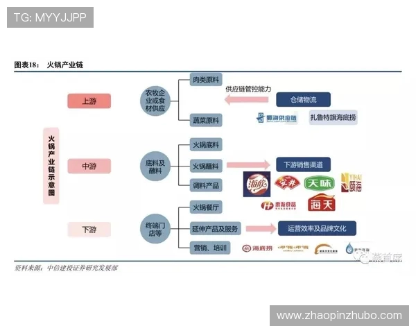 武汉飞盘队技术表现分析：数据揭示球队优势与改进空间