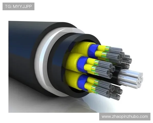 LNG在Major赛中的表现分析与状态评估探讨