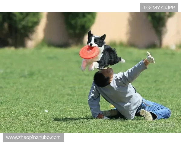 上海飞盘队在极限运动世界杯中的个人能力表现分析与点评 上海飞盘队在极限运动世界杯中的个人能力表现分析与点评