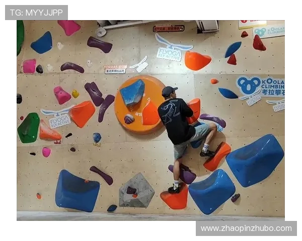 南京攀岩队防反策略分析及其在比赛中的得失总结